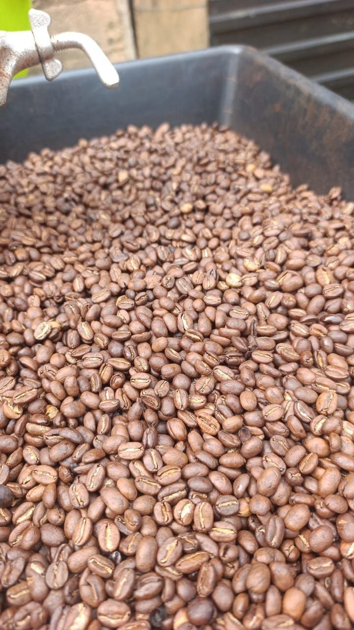 Granos de café tostados listos para empaque